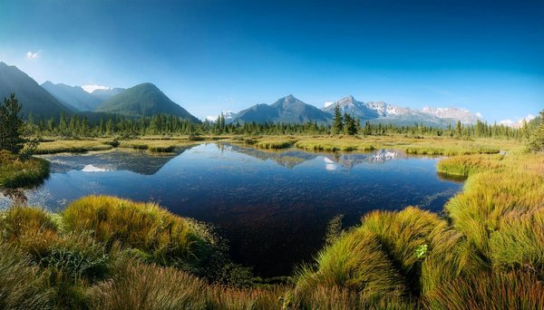 Croisieres Sur La Seine