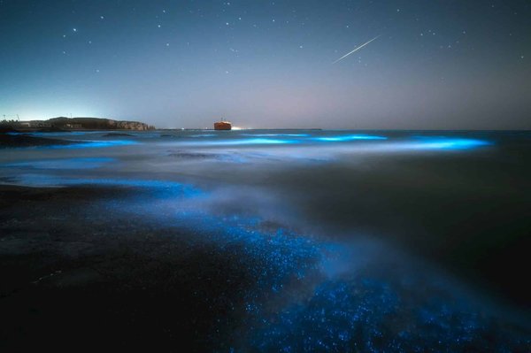 Où découvrir les merveilles de la bioluminescence dans les baies de Porto Rico?